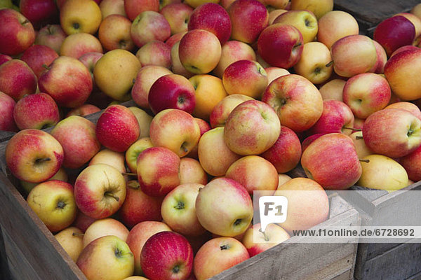 Piles of apples in crates on market stall