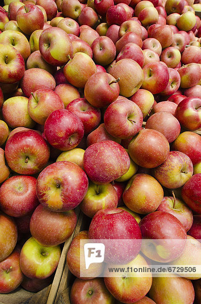 Stack of apples on market stall
