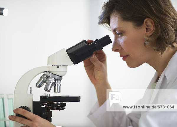 USA  New Jersey  Jersey City  woman in laboratory looking through microscope