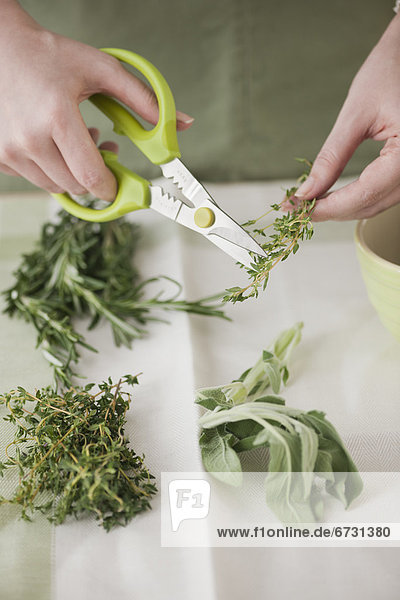 Woman cutting sprouts with scissors