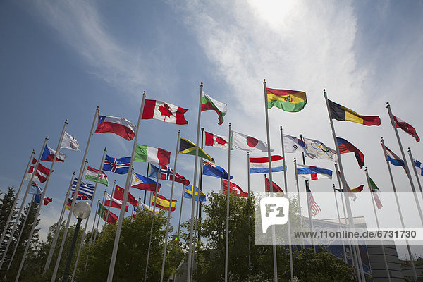 'Low Angle Of World Flags With Blue Sky And Clouds