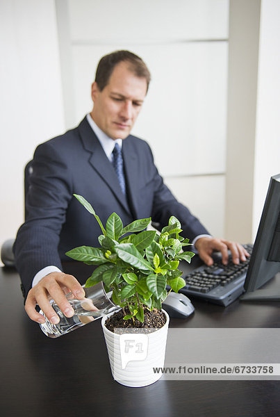 Businessman watering plant on desk