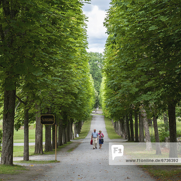 'A couple walks down a long path lined with trees