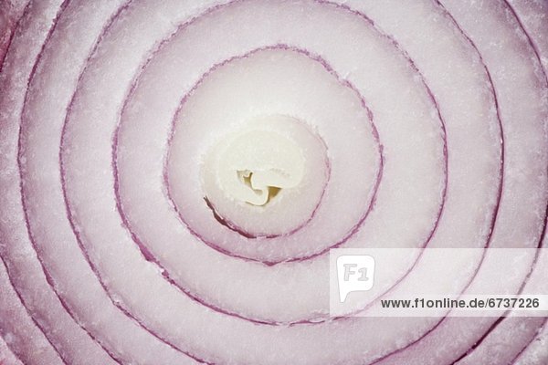 Still life of a slice of onion