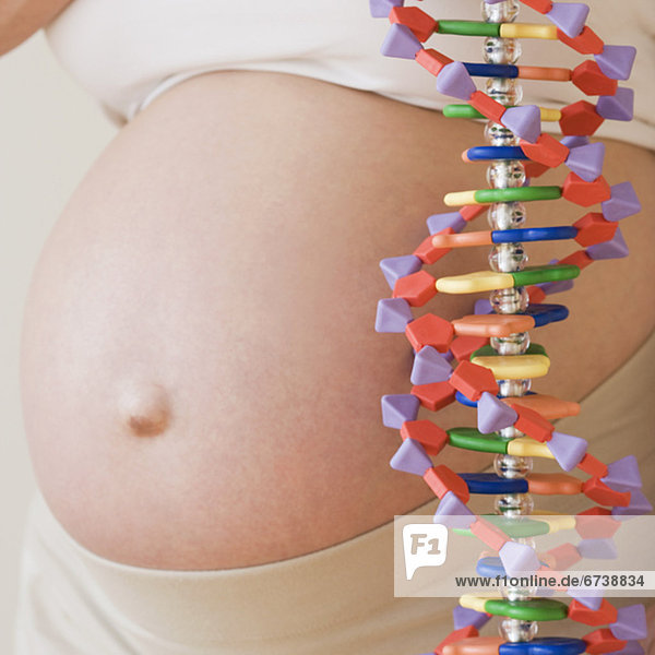 Frau  Modell  Schwangerschaft  DNA