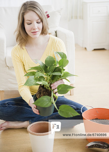 Woman replanting a houseplant