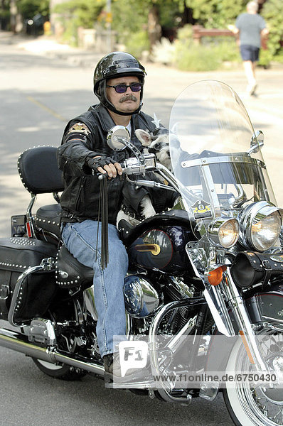 Biker Man and his Dog on Motorbike