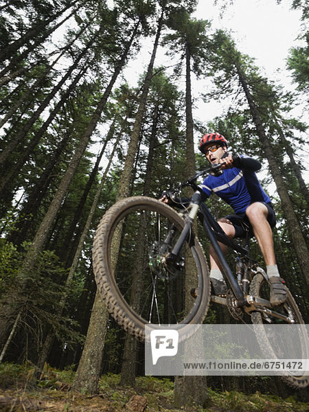Mountain biker in mid-air on forest trail