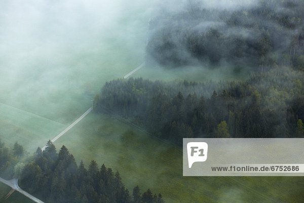 Morning fog with forest and meadow in the Danube Valley  aerial photo