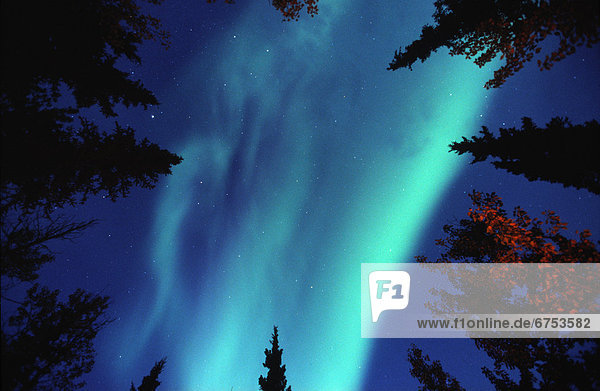Yukon