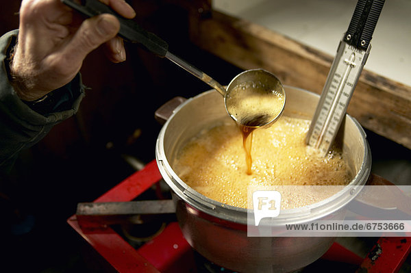 Melted Syrup  Cabane Sugar Shack  Brome-Missisquoi Region  Saint-Faustin  Quebec