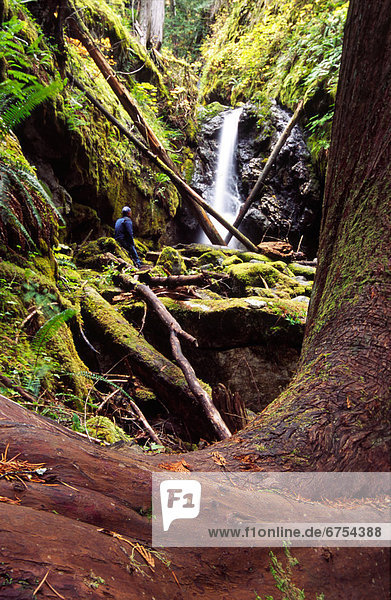 Strathcona Provincial Park  British Columbia