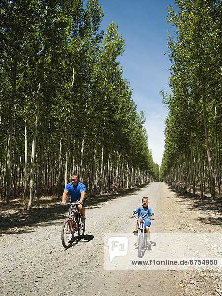 Father with son (8-9) cycling on country road