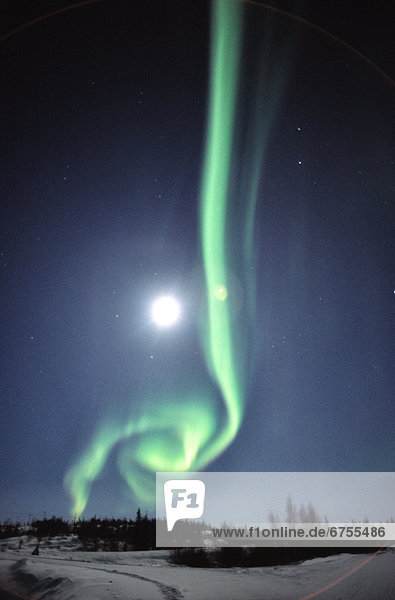 Mond  Northwest Territories  Aurora  voll