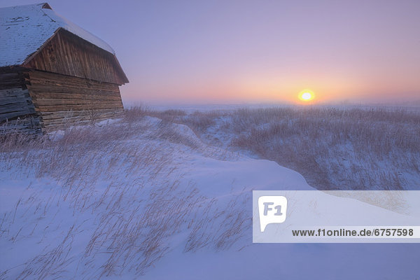 Sunrise on abandoned  snow-covered homestead  -40 celsius  Alberta prairie