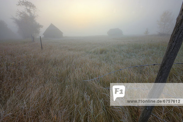 Morgen  Bauernhof  Hof  Höfe  Nebel  Herbst  verlassen