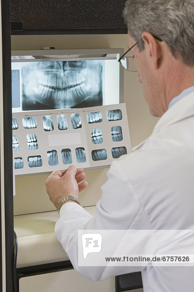 Male dentist examining x-rays