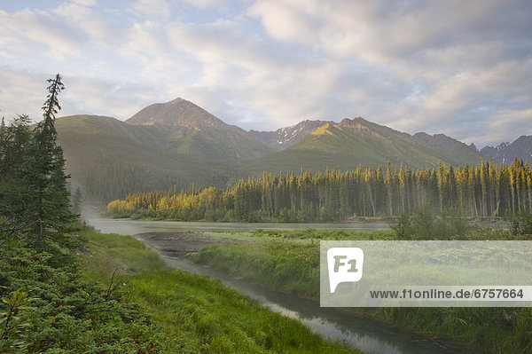 Steam rising from Moore's Hot Springs with lush grass in foreground  Nahanni National Park  Northwest Territories