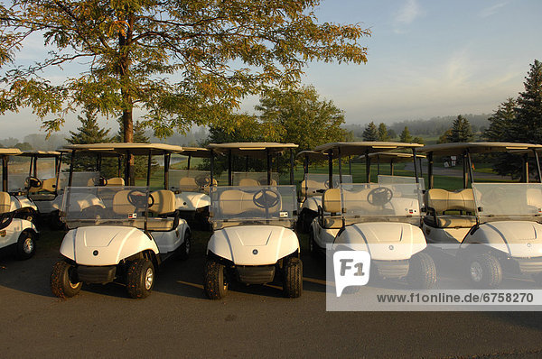 Golf Carts in early Morning at a Golf Club  Newmarket  Ontario