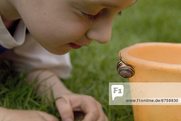 Schnecke  Gastropoda  sehen  Junge - Person  klein  Langeweile  Ontario  Toronto