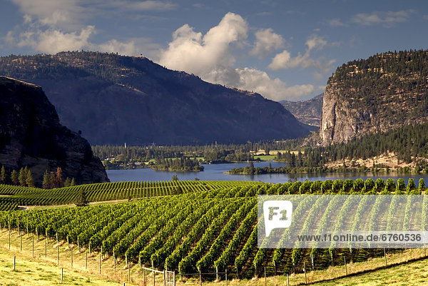 Wein  folgen  See  British Columbia