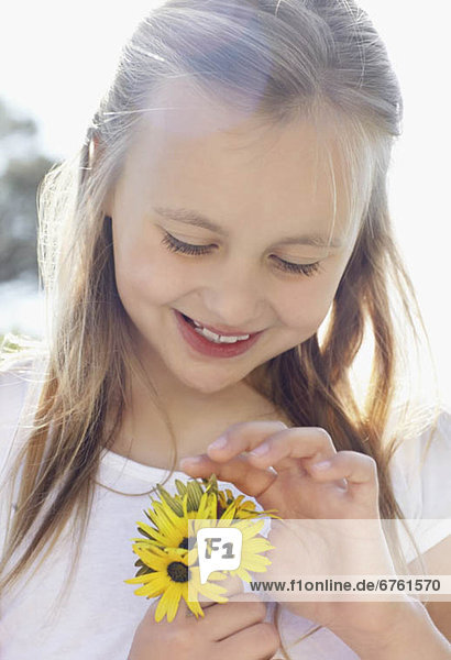 Sonnenblume  helianthus annuus  10-11 Jahre  10 bis 11 Jahre  Mädchen