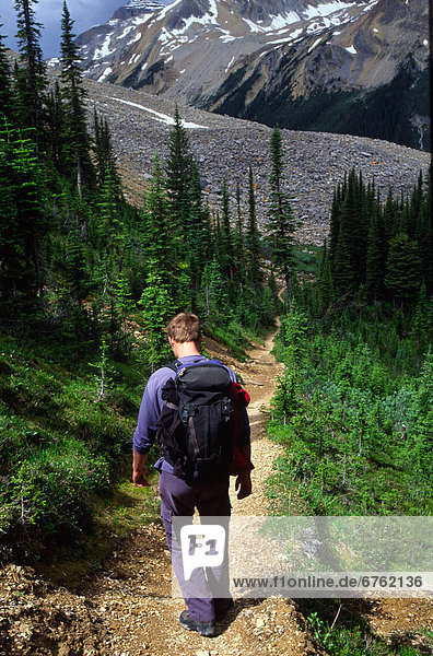 Hiker on the Upper Iceline Trail  Yoho National Park  British Columbia