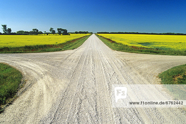 Intersection in a Gravel Road  Niverville  Manitoba