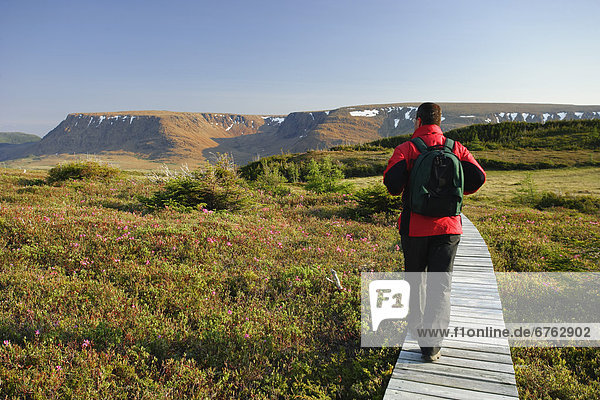 Hiker on Lookout Trail and Tablelands  Gros Morne National Park  Newfoundland