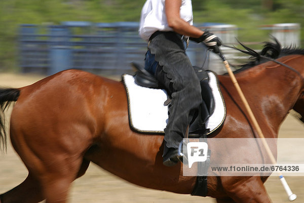 Polospieler  Saskatchewan  Val Marie  Saskatchewan