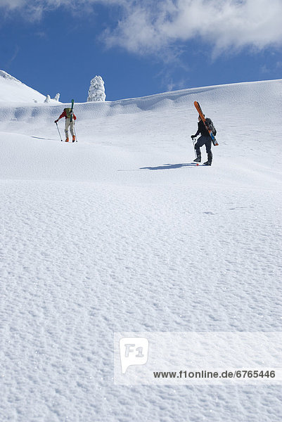 Skiers climbing up to Mount Seymour  Mount Seymour Provincial Park  Vancouver  British Columbia