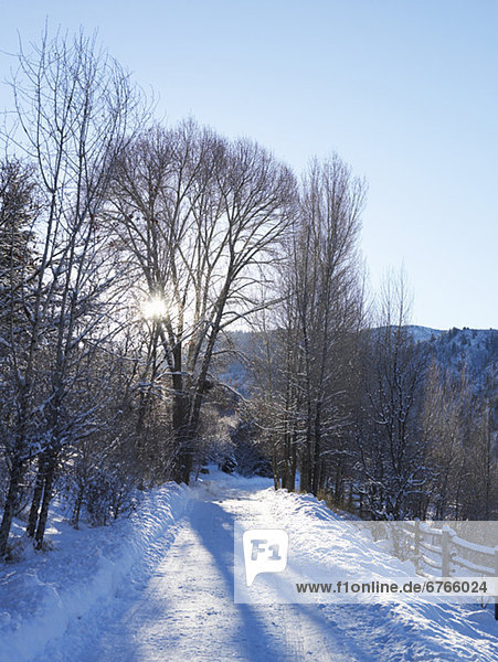 A snowy road