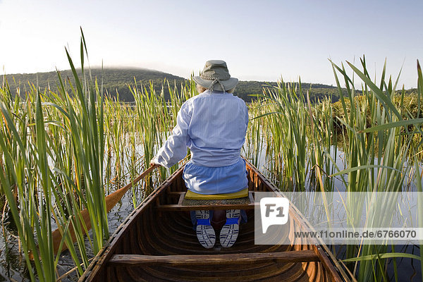 Woman paddling canoe through reeds  Smoke Lake  Algonquin Park  Ontario