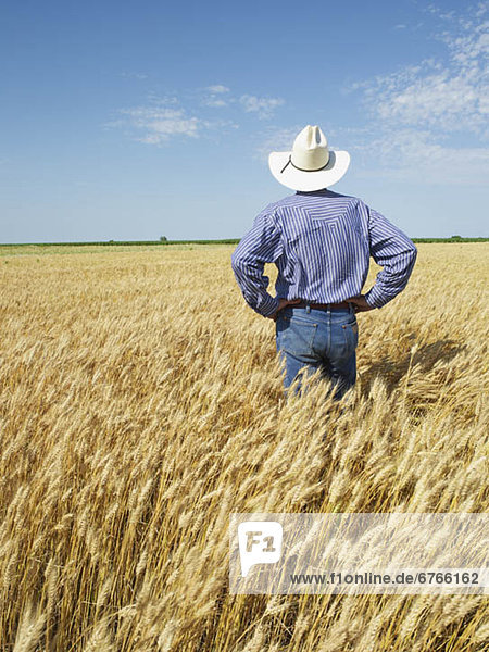 Farmer standing in wheat field