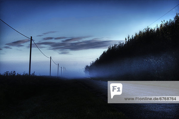 Sommer  Morgen  Fernverkehrsstraße  Nebel  Alberta