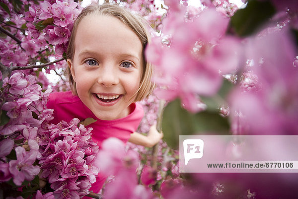 Girl in Pink Flowering Tree  Winnipeg  Manitoba