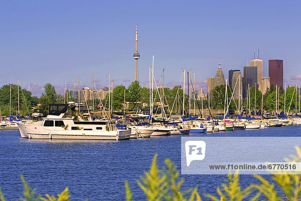 Hafen  Jachthafen  Ontario  Toronto