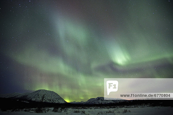Aurora borealis over Whitehorse  Yukon  Canada