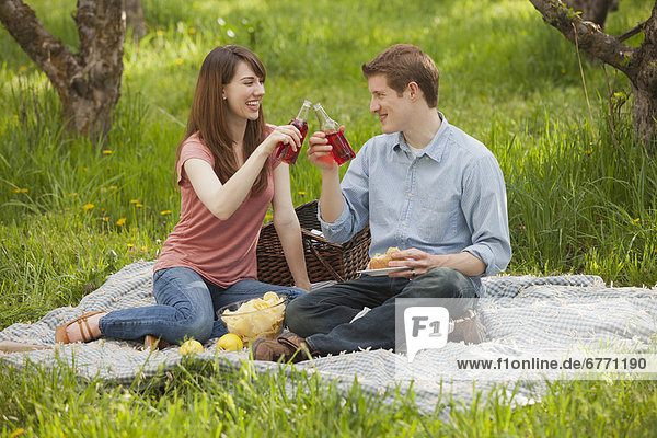 USA  Utah  Provo  Young couple toasting drinks during picnic
