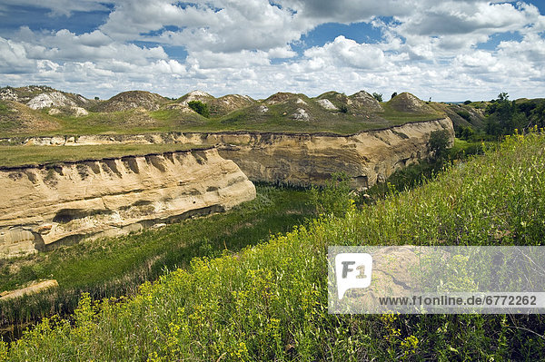 Artist's Choice: Souris River Valley near Roche Percee  Saskatchewan