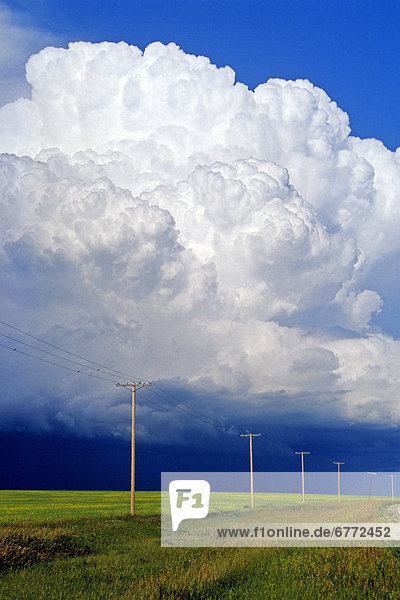 Power lines with a cumulonimbus supercell cloud mass  near Bromhead  Saskatchewan