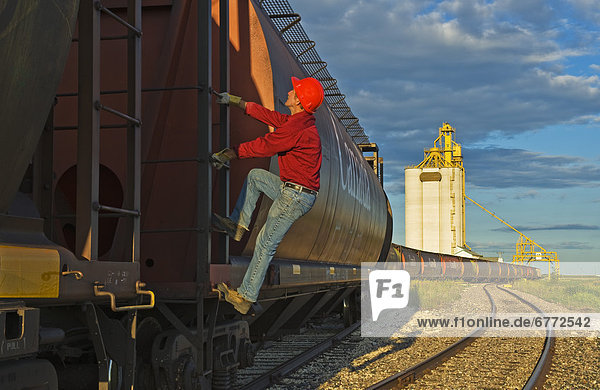 Worker climbs a grain rail hopper car at an inland grain terminal  Manitoba