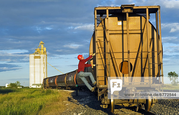Worker climbs a grain rail hopper car at an inland grain terminal  Manitoba