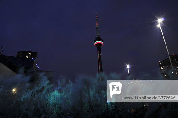 Nacht  groß  großes  großer  große  großen  Fokus auf den Vordergrund  Fokus auf dem Vordergrund  Gras  Hafen  Ontario  Toronto