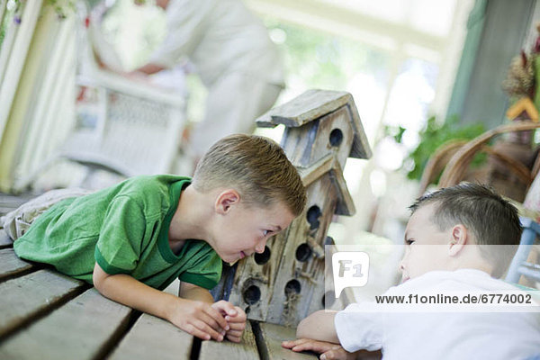Young boys looking at birdhouse