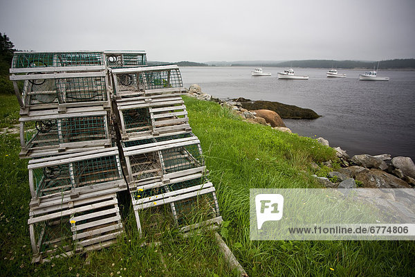 Lobster traps along the shores of the Atlantic Ocean with boats docked in the bay  Tor Bay  Nova Scotia