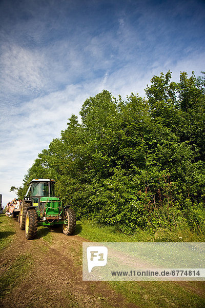 Tractor on a path in a hay field  Antigonish County  Nova Scotia.