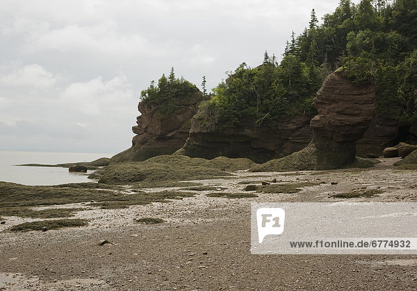 niedrig  Felsbrocken  Gezeiten  Anordnung  Bucht  New Brunswick  Neubraunschweig