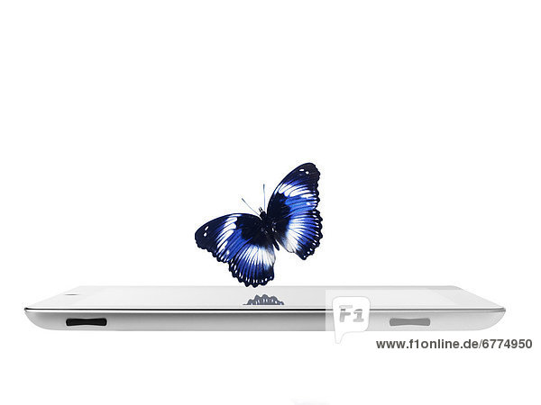 über Schmetterling Tablet PC schießen Studioaufnahme