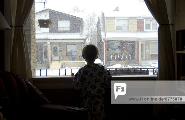 fallen  fallend  fällt  sehen  Fenster  Junge - Person  blättern  jung  Schnee